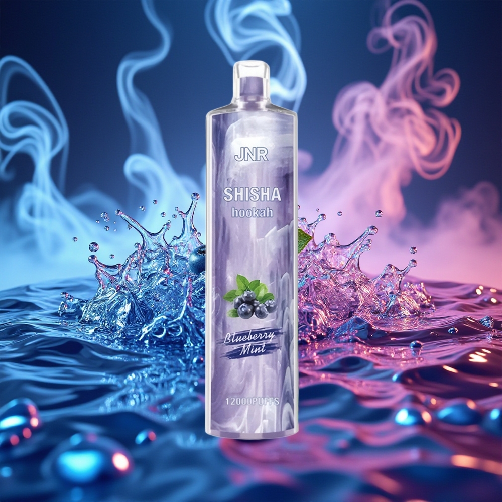 JNR Shisha Hookah 12000 מנטה אוכמניות עם סוללת 750mAh