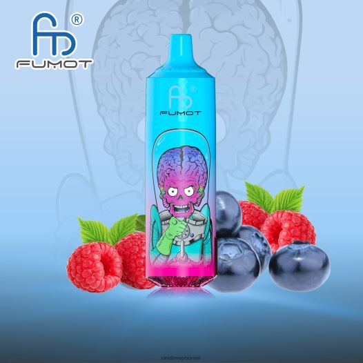 RandM Vape Online - Fumot RandM Tornado מכשיר 9000 pro vape עם סוללה ותצוגת ejuice גרסה 1 BVXTB6186 אוכמניות פטל